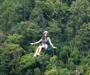 king kong zipline