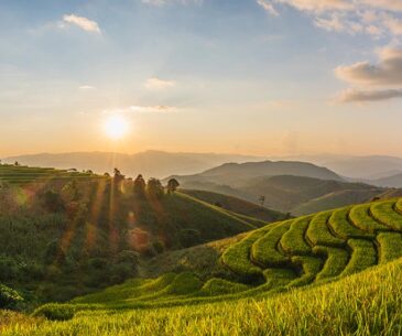 Chiang Mai Nature